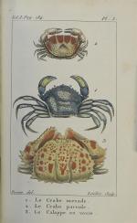 BOSC. Histoire naturelle des crustacés, contenant leur description et leurs...
