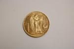Pièce en or de 100 francs 1905 A - 32,3...