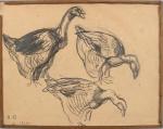 BIGOT Raymond (1872-1953) Trois oies, dessin au crayon monogrammé en...