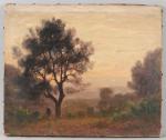 SEBILLEAU Paul (1847-1907) Paysage près d'Antibes - Huile sur toile...