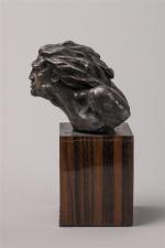 L. Krass
" Tête de Mermoz "
Sujet en bronze à patine...