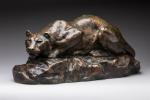 Hippolyte Peyrol (1856-1929)
" Lionne à l'affût "
Sujet en bronze à...