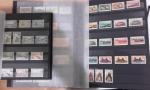 Colonies Françaises, 2 classeurs de timbres neufs, timbres courants mais...