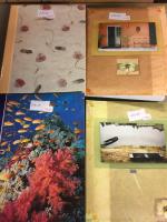 Collection de Cartes Postales.. A étudier (4 Albums).