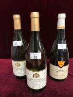 Deux BOUTEILLES Bourgogne blanc Hautes Côtes de Beaune Pinot Beurot...