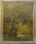 Marie Ferdinand JACOMIN (1843/48-1902)
L'étang 
Huile sur toile signée en bas...