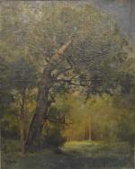 Marie Ferdinand JACOMIN (1843/48-1902)
L'étang 
Huile sur toile signée en bas...