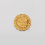 Gaule subalpine (1800-1802)
20 francs or. An 10 (1802). Turin.
L.M.N. 896.
TTB...
