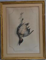 Edouard TRAVIES (1809-c.1869)
La sarcelle d'hiver
Estampe signée
60.5 x 42 cm à...