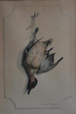 Edouard TRAVIES (1809-c.1869)
La sarcelle d'hiver
Estampe signée
60.5 x 42 cm à...