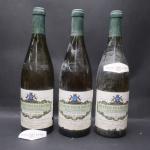 BOURGOGNE BLANC - 3 bouteilles CHABLIS 1er CRU 1993 LONG...