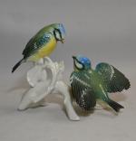 Karl ENS (1802-1865)
Deux oiseaux en porcelaine sur une même branche,...