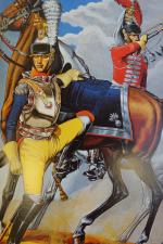 OLEG SOKOLOV. L'Armée de Napoléon, Préface de Jean Tulard, relié...