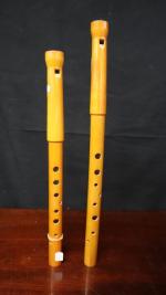 Deux flûtes en bambou - Russie - 43 et 48...