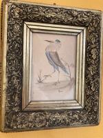 HANSEN - Oiseaux - deux dessins à l'aquarelle formant pendant...