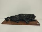 Lionne rugissant - sujet en plâtre patiné noir sur socle...
