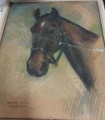 Willy SLUITER (1873-1949) - Portrait de cheval (« Demaridio ? ») -...