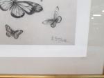 L. GARY - Fin XIXème - Papillons - Dessin au...