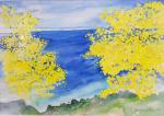 Ariane TOLEDANO-MILLET (XXI) - " Rêve de mimosas" - aquarelle...