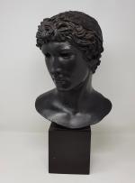 Tête d'Apollon - résine à patine bronze -reproduction du musée...