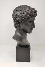 Tête d'Apollon - résine à patine bronze -reproduction du musée...