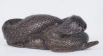 Sujet Art Déco en bronze à patine brune "serpent".
Dim. 12,5...