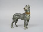 Sujet en bronze polychrome de Vienne 'Dogue allemand'
Dim. 14 x...