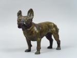 Grand sujet en bronze polychrome de Vienne (?) 'le carlin'....