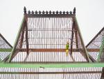 Cage à oiseaux XIXème en bois polychrome et métal.
Dim.
