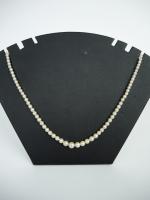 Collier de perles de culture disposées en chute. 40 cm...
