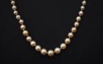 Collier de cent-quarante perles fines arrondies et ovales de couleur...