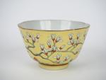 Chine, marque et époque Guangxu (1871-1908)
Coupe en porcelaine émaillée jaune,...