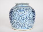 Chine, vers 1900,
Pot à gingembre en porcelaine bleu blanc à...