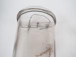 Grand réservoir XIXème en verre soufflé. 
H. 33,5 cm
Abreuvoir à...