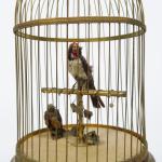 Cage à oiseaux automates.
H. : 53 cm.
(mauvais état)