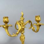 Paire de candélabres XIXème en bronze doré de style rocaille,...