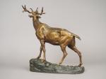 VALTON. "Cerf bramant"
Sculpture en bronze à patine médaille et brune.
Signée.
38...