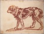 Jean-Baptiste GREUZE (1725-1805)
"Etude de chien"
Sanguine.
23,5 x 30,5 cm
Insolé, rousseurs, un...