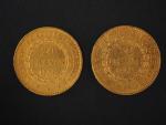 Deux pièces de 20 Francs or, 1875-A et 1879-A.
FRAIS ACHETEURS...