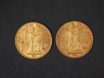 Deux pièces de 20 Francs or, 1886-A et 1898-A.
FRAIS ACHETEURS...