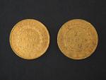 Deux pièces de 20 Francs or, 1887-A et 1889-A.
FRAIS ACHETEURS...