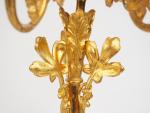 Paire de candélabres Napoléon III en métal doré, éclairant à...