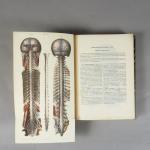 HIRSCHFELD (Ludovic). Traité et iconographie du Système nerveux et des...
